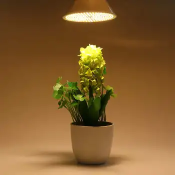 LED Grow Light Visą Spektrą 10W E27 LED Auginimo Lempa Patalpų Hydroponics Gėlės, Augalai LED Augimo Lempos