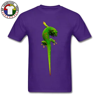 Pietų Afrikos Green Gecko Vaizdo Dizaino marškinėliai 2018 m. Vasaros Mados Marškinėliai, 3D Atspausdintas Reptilia Gyvūnų Vyrų Marškinėlius Ant Pardavimo