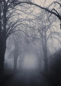 Dephoto Helovinas tema Fotografijos Fono šalies keliuose naktį Rūkas medis tamsiai fantazijos Fone lauko photophone
