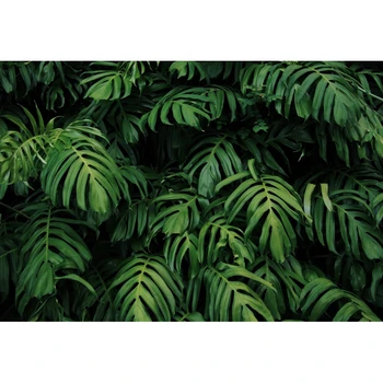 Yeele Žalios Palmių lapai Klavišą Scena Asmeninį Fotografijos Backdrops Fotografija Tapetai, Žolės Lapai fotostudija