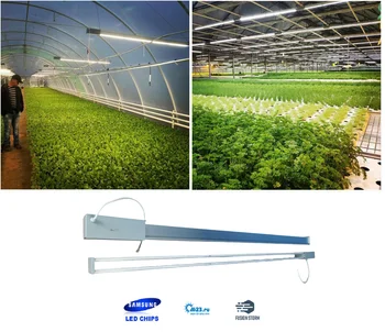 2 dalių komplektas Iki 300W m23fs300w2 LED Augti Šviesos efektą sukeliančių Fito lempos visą spektrą augalų auginimo ir sodinukai