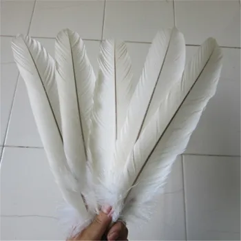 Didmeninė 50 vnt. aukštos kokybės retas baltojo erelio plunksnų 38-45cm/15-18inch Dekoratyvinis Fazano plunksna 