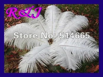 20PCS/daug stručio plunksna asorti 10colors 18-20 cm 45-50cm Stručių plunksnos stručių kamuolio
