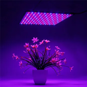 Visą Spektrą 1000W LED Augalų Auga šviesos Fitolamp Kultūros Patalpų Vegs Sėklos Cultivo Growbox Palapinė Šiltnamio efektą sukeliančių Horticole