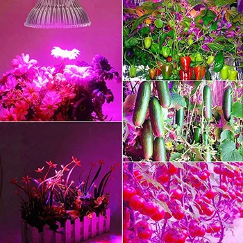 Naujausias Led Grow Light E27 lemputės Fito Lempa viso Spektro LED Grow Light Auginimo Lempos Augalų, kambarinių gėlių daigų Salotos