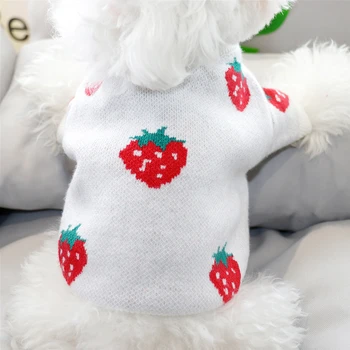 Rudens/Žiemos Naminių Braškių Spausdinti Megztinis Mažų Šunų Kačių Teddy Bichon 