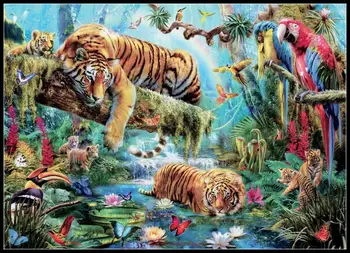 Idiliškas Tigras - Skaičiuojami Kryželiu Rinkiniai - 