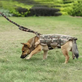 Taktinis Šuo, Virvė Mokymo Šuns Pavadėlio Traukos Virvės Universalus Šuo Pavadėlio Medžioklės Lauko taktinių šuns pavadėlio