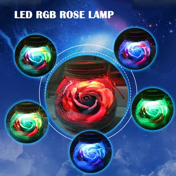 LED RGB Rose Lempos Gėlių Butelis Naktį Šviesos Nuotolinio Valdymo Rose Lemputės Šviesos TN99