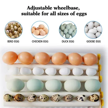 Kiaušiniai BIncubator 36 Kiaušinių Digita Mini Automatie Incubatores dėl Perinti skirtų Kiaušinių su Automatine Turner skirtų kiaušinių, Kalakutienos, Vištienos, Kiaušinių