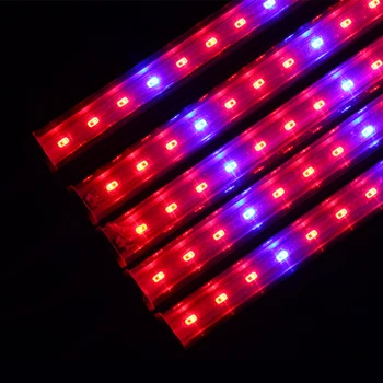 LED Grow Light 5730 Fitolampy Augimo Šviesos 50m phytolamp Patalpų Augimą, Baras Šviesos Akvariumas Šiltnamio efektą sukeliančių Augti Palapinė