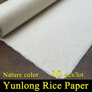 Kinų Tapybos Ryžių Popieriaus Kaligrafijos, Piešimo Popieriaus, Rankų Darbo Pluošto Xuan Popieriaus Yunlong Šilkmedžio Popierius