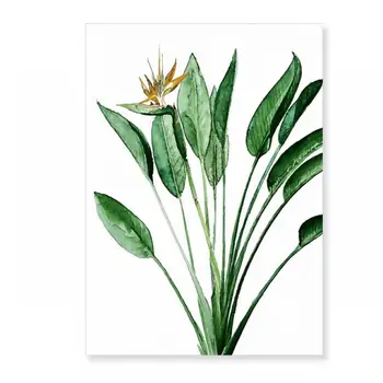 Botanikos Tapybos Begonia Žalias Lapas Šiuolaikinės 5 Natūra, Drobė, Tapyba Šiaurės Freskos Plakato Spauda Nuotrauką Kambarį