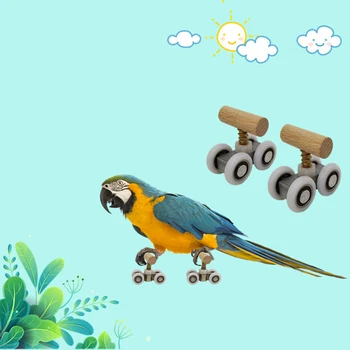 1 Pora Papūga Žaislas Medienos Paukštis Papūga Čiuožimo Žaislai Mokymo Žvalgybos Čiuožimo Batai Paukščių Reikmenys Riedučiai, Riedlentė