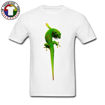 Pietų Afrikos Green Gecko Vaizdo Dizaino marškinėliai 2018 m. Vasaros Mados Marškinėliai, 3D Atspausdintas Reptilia Gyvūnų Vyrų Marškinėlius Ant Pardavimo