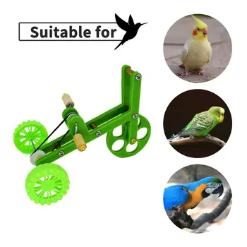 1PC Juokinga Papūga Žaislų Nuoma Paukščių Mokymo Reikmenys Paukščių Mokymo Plaything Papūga Mokymo Rekvizitai Įdomi Papūga Žaislas Parro