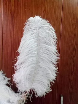 10 vnt. aukštos kokybės balta stručio feather22-24inches / 55-60cm 
