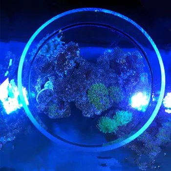 Akvariumas jūros rifas bakas BIS LPS Akvariumas matymo veidrodis vandens didinamąjį stiklą vandens paviršiaus stebėjimo fotografija