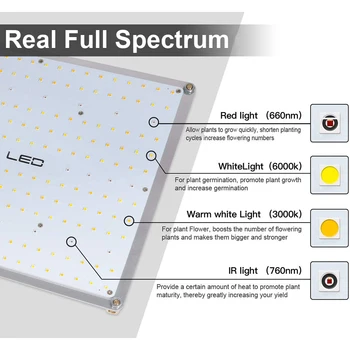 Pritemdomi SF-2000 Visą Spektrą LM301B LM301H 3500k 5000k šviesos diodu (LED) 200w 240w Augalų Skydelis Augti Šviesos